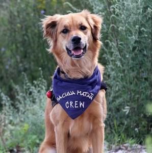 Meet your Posher, Nadine